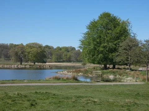 Landscape View (England) Stock Photos