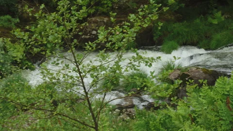 Landscape view of a fast-flowing river featuring white-water rapids crashing Vídeos de archivo 336204827