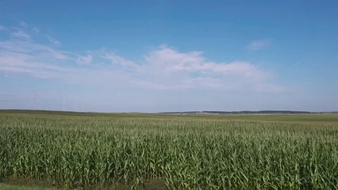 Landscape, view of field and grass in motion, countryside nature. Stock Footage