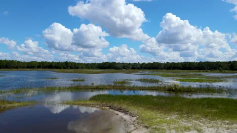 Landscape View of Florida Lake Reflecting Off of Blue Sky with Greenery Stock Footage 167868324