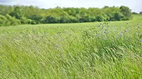 Landscape view Stock Footage 38503134