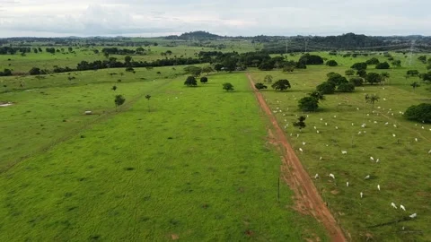 Landscape view Video stock 234224713