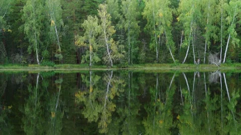 Landscape view of the forest lake. The mirror image of trees on the water. Stock Footage 282086444