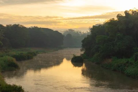 Landscape view of forest river trees with cloudy and sunlight in the morning. Photos