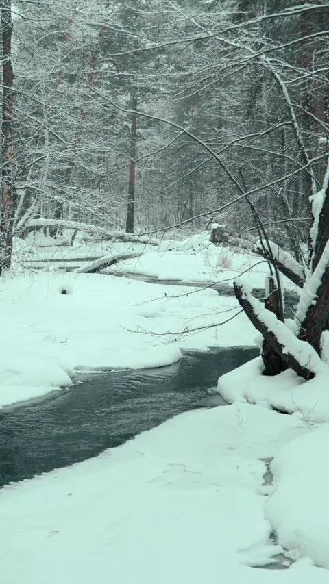 Landscape view of a forest unfrozen river on a cloudy winter day. Snowfall. Stock Footage 326195626