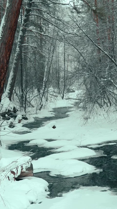 Landscape view of a forest unfrozen river on a cloudy winter day. Snowfall. Stock Footage 326195630