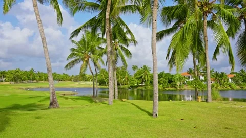 Landscape view of a golf course in the Dominican Republic. Stock Footage 341329751