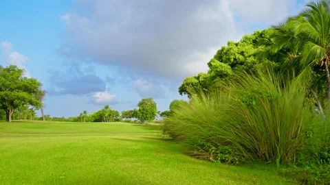 Landscape view of a golf course with green grass in the Dominican Republic. Stock Footage 343430267
