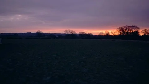 Landscape view of grass, field and of trees with dramatic sun rising dawn. Stock-Footage 86972266