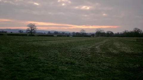 Landscape view of grass, field and trees with cloudy sun rising dawn. Stock Footage 87156224