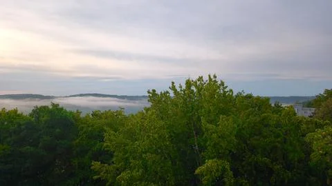 Landscape view of a green forest canopy with morning fog in the valley. Stock Photos