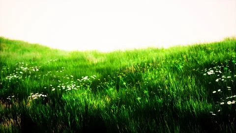 Landscape view of green grass on slope at sunrise Stock Footage 236324600