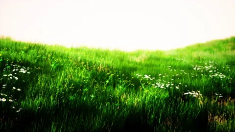 Landscape view of green grass on slope Stock Footage 238690749