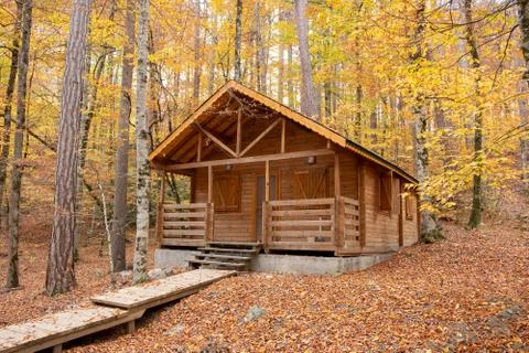 Landscape view of a home in the fall with all the colorful foliage Stock Photos
