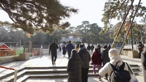 Landscape view inside Beijing Summer Palace with creative art of Chinese la.. Stock Footage 338330901