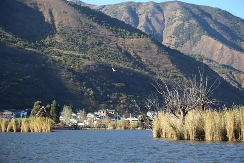 Landscape view of lake bordered by mountains Foto stock