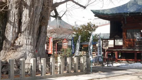 Landscape view of main building of Hida Kokubunji temple under sunny sunshi.. Stock Footage 313431135