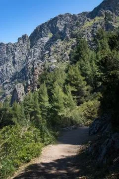 Landscape view Mallorca Foto stock