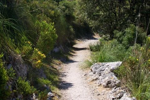 Landscape view Mallorca Foto stock