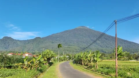 Landscape view of Mount Ciremai with trees moving in the wind 動画素材 311312013