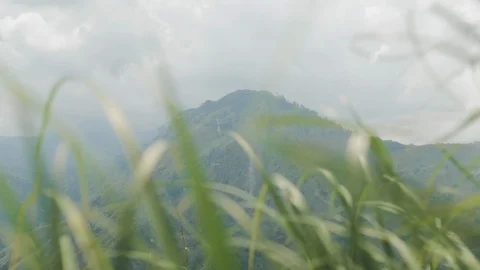 Landscape view of mountain Stock Footage 108632899