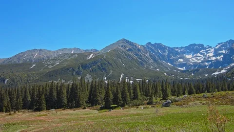 Landscape view of mountain range party covered with snow and coniferous forest Stock Footage 121742242