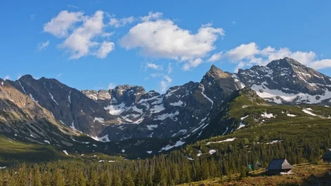 Landscape view of mountain range party covered with snow and coniferous forest Stock Footage 121993892