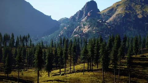 Landscape view of the mountain range with trees in the fall Stock Illustration