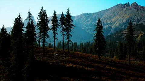 Landscape view of the mountain range with trees in the fall Stock Illustration