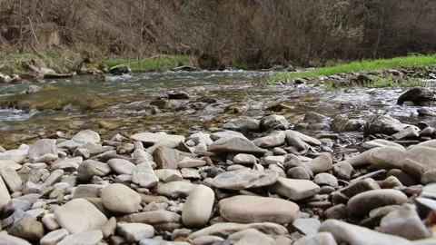 Landscape view of the mountain river with small stones Video stock 153506952