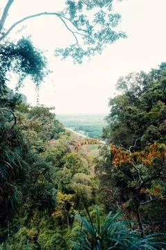 Landscape view on mountains and fields with vegetation, from Tiger Cave Tem.. Stock Photos