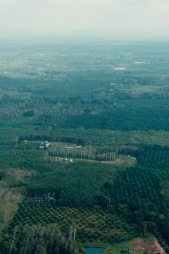 Landscape view on mountains and fields with vegetation, from Tiger Cave Tem.. Stock Photos