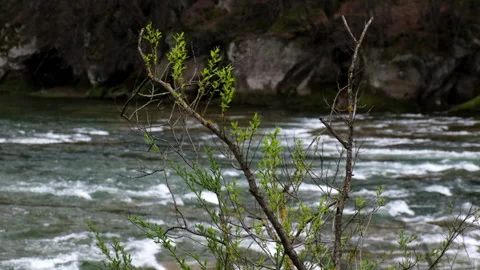 Landscape view of the mountains River Stock Footage 240862141