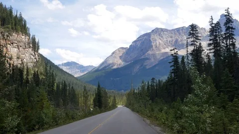 Landscape view from the moving car while driving along the local natural way Video stock 120018801