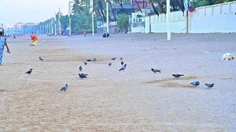 Landscape View of Ocean Waves at Juhu Beach in Mumbai 動画素材 346382864