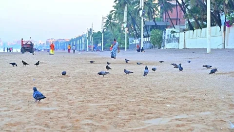 Landscape View of Ocean Waves at Juhu Beach in Mumbai Видео 346382871