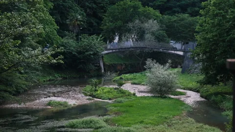 Landscape View of an Old Bridge among Thickets 動画素材 157393257