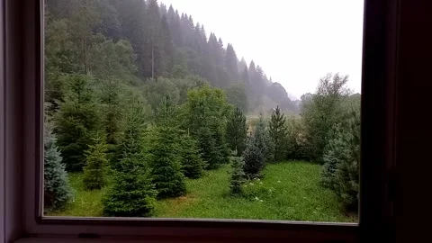 Landscape. View from open window of coniferous forest, mountains in fog, rain. Stock Footage 280143089