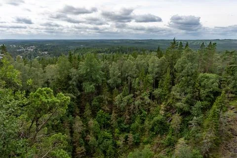 Landscape view over green forest from Taberg Topp in Sweden Stock Photos