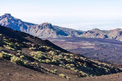 Landscape view over Teide volcano caldera and lava fields from hiking trail t Foto stock