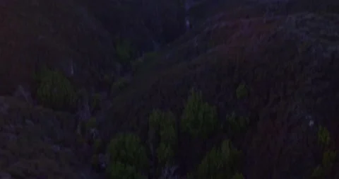 Landscape view overlooking forest mountain valley Stock Footage 136336866