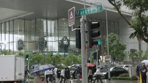Landscape view of pedestrian walking and crossing street with traffic of cars Stock Footage 211733069