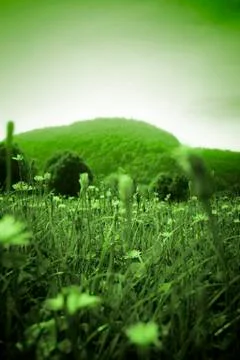 Landscape view Stock-Fotos