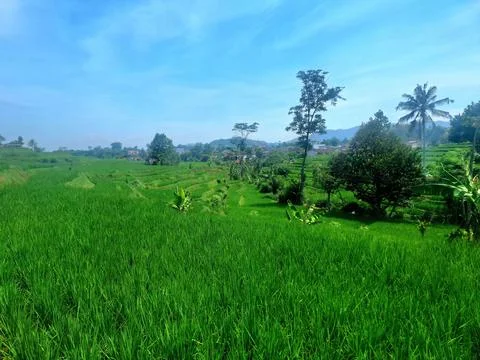 Landscape view Stock Photos