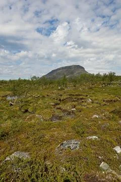 Landscape view. Stock Photos
