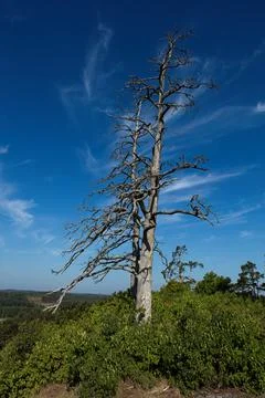 Landscape view. Foto stock