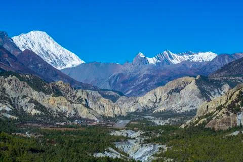 Landscape view of pine forest and mountains at background, Annapurna Conserva Stock Photos