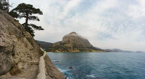 Landscape view of a pine tree on a rock above the sea. Stone-paved Golitsyn T Stock Photos
