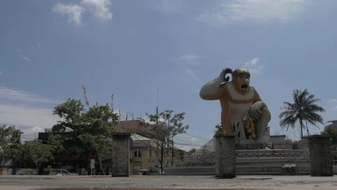 Landscape view of Proboscis monkey statue. 4K Ultra HD Stock Footage 105644921