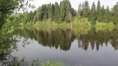 Landscape view Reflection of trees in a river Stock Footage 92607867